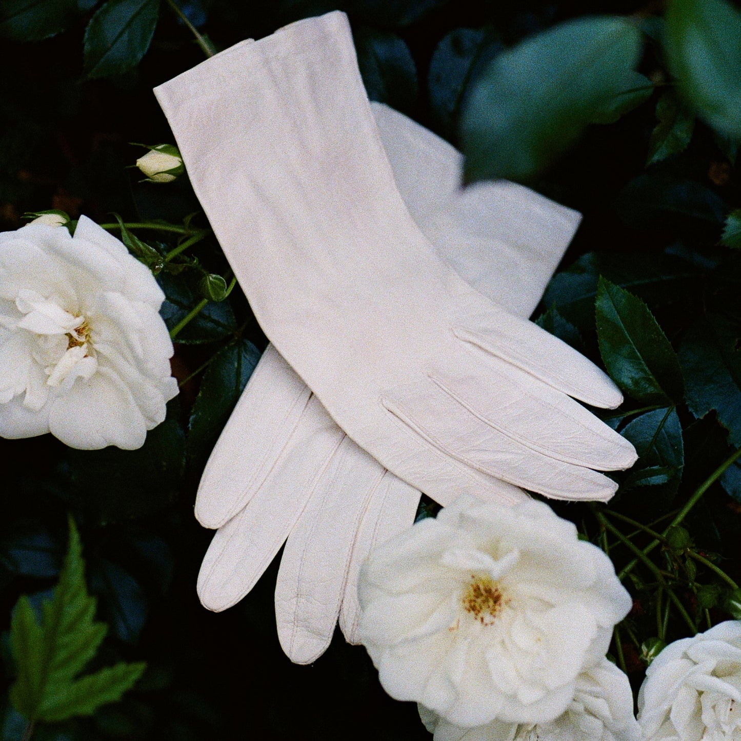 Adorable 1950s White Kid Leather Gloves